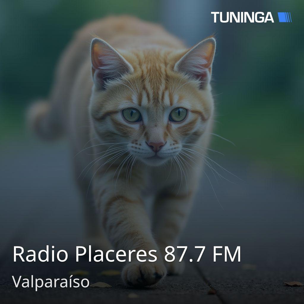 Radio Placeres 87.7 FM