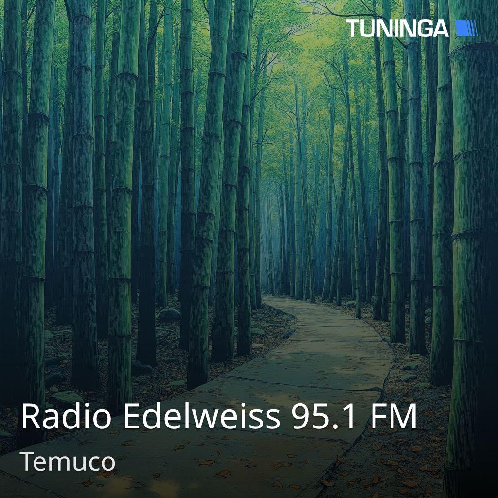 Radio Edelweiss 95.1 FM