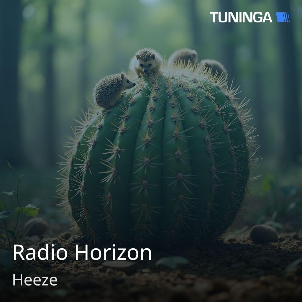 Radio Horizon