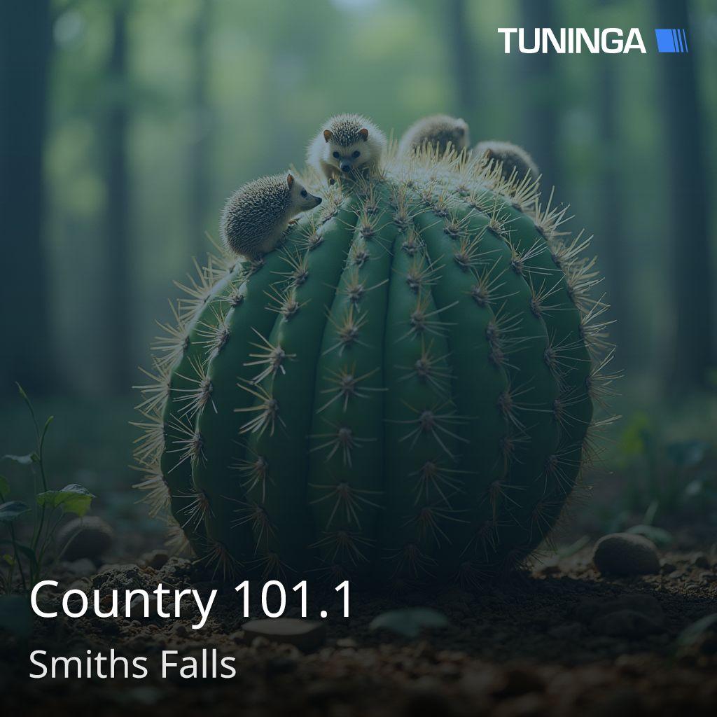 Country 101.1