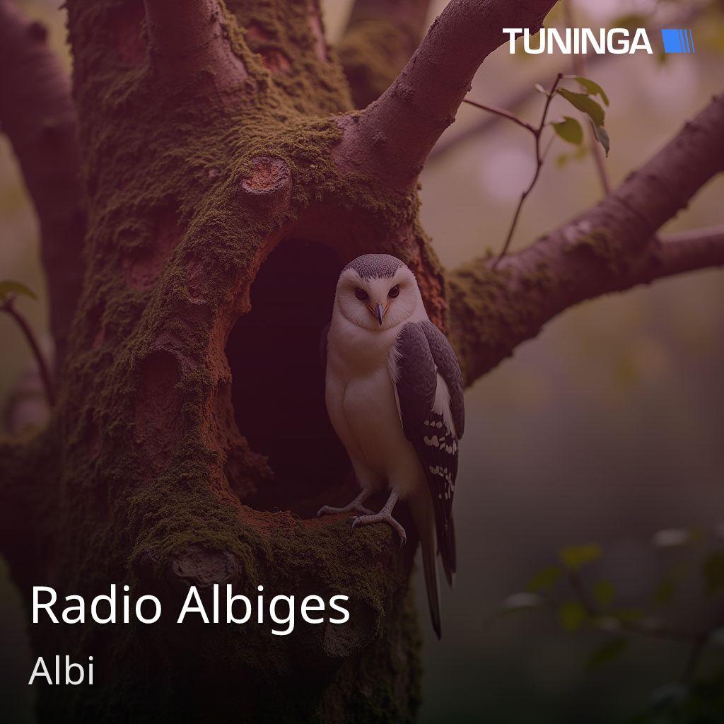 Radio Albiges