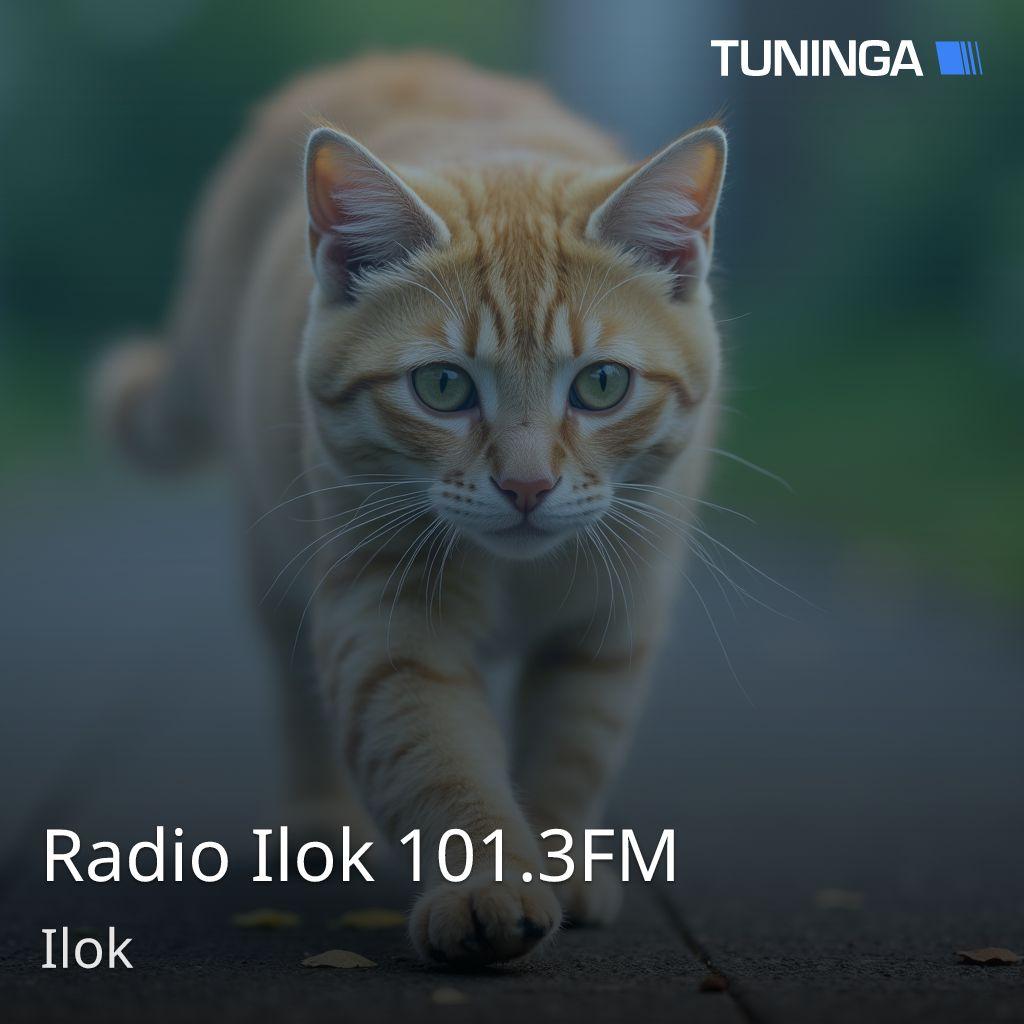 Radio Ilok 101.3FM