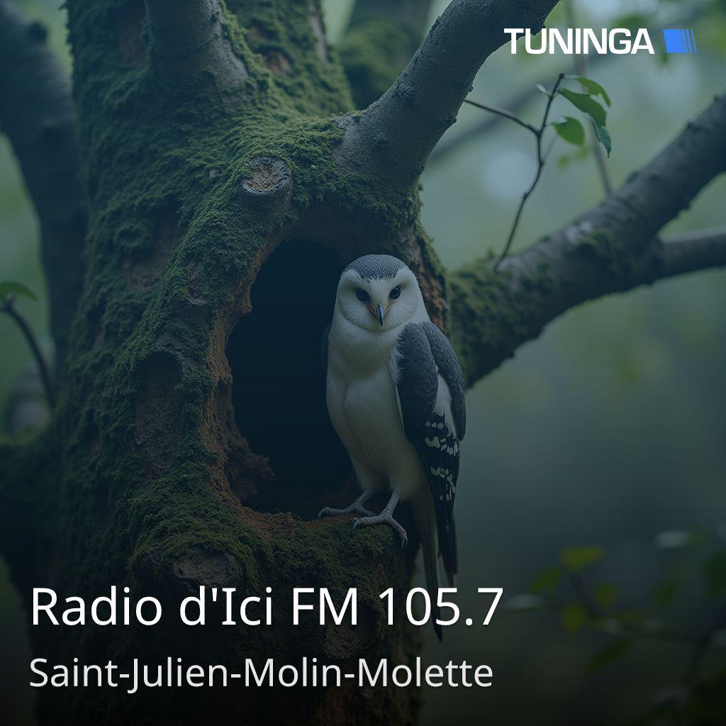 Radio d'Ici FM 105.7