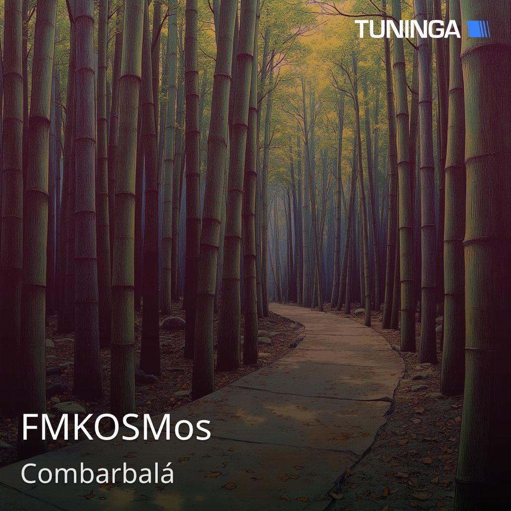 FMKOSMos