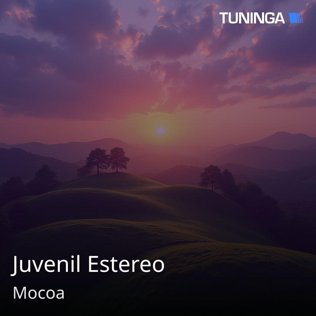Juvenil Estereo