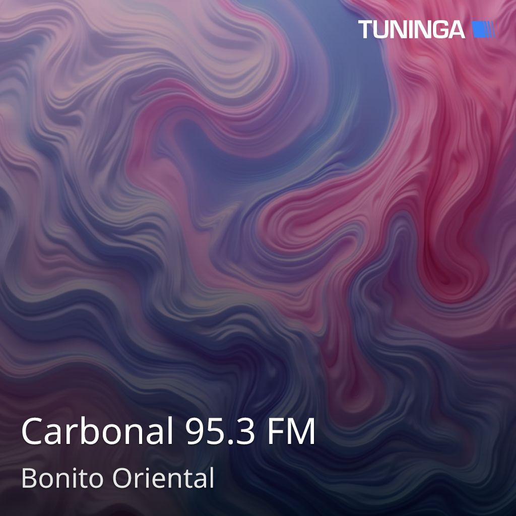 Carbonal 95.3 FM