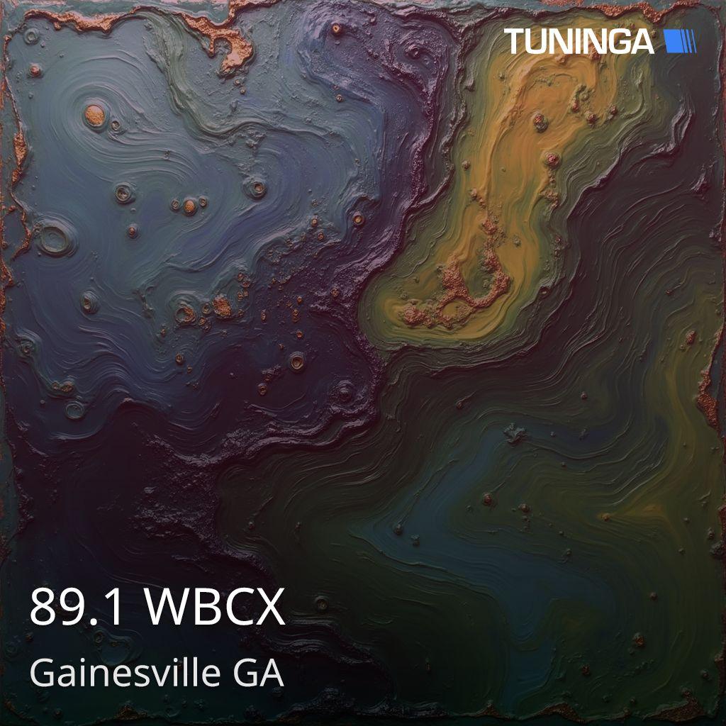 89.1 WBCX