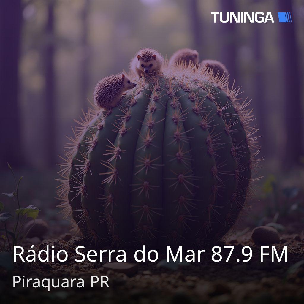 Rádio Serra do Mar 87.9 FM