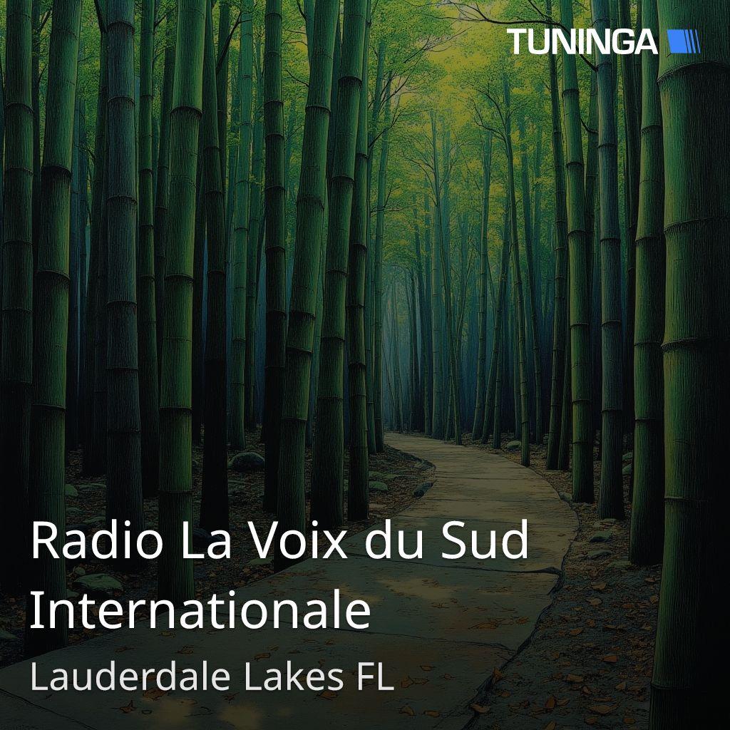 Radio La Voix du Sud Internationale