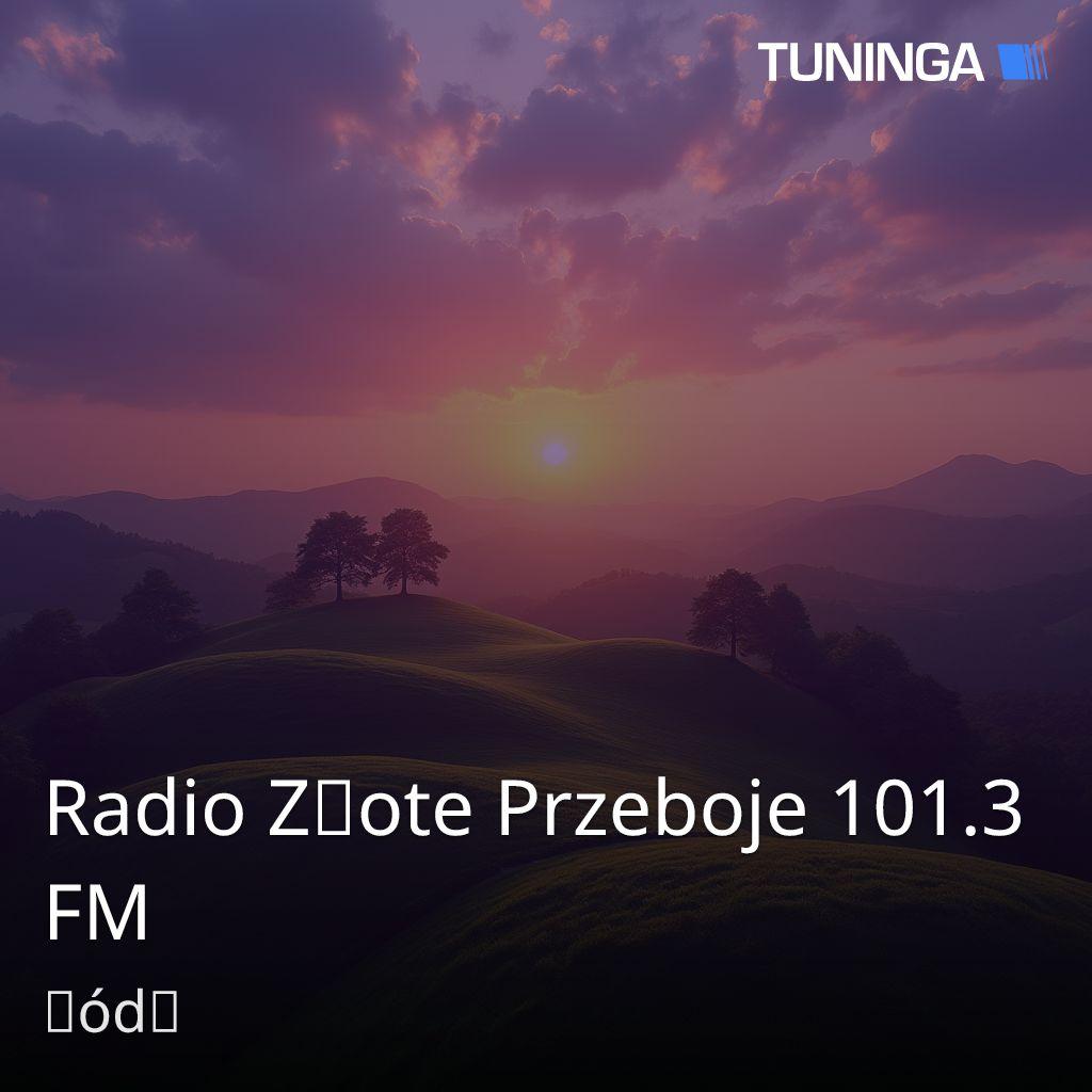 Radio Złote Przeboje 101.3 FM