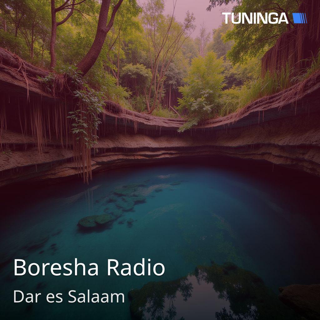 Boresha Radio