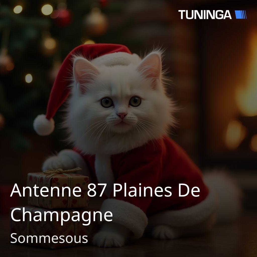 Antenne 87 Plaines De Champagne