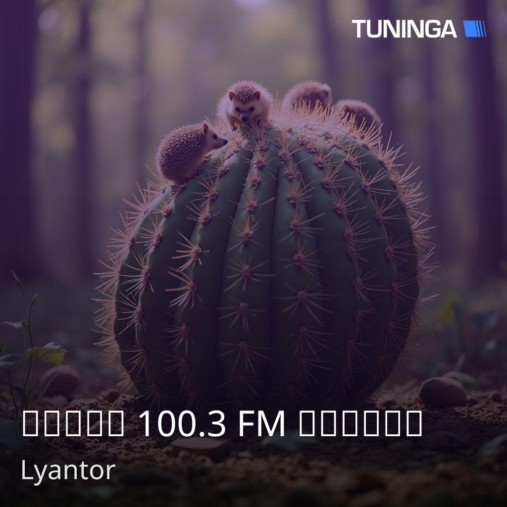 Радио 100.3 FM Лянтор