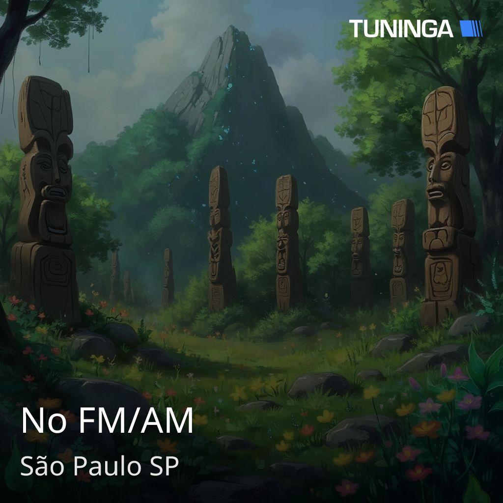 No FM/AM