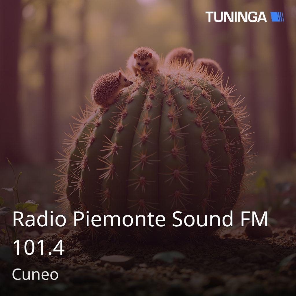 Radio Piemonte Sound FM 101.4