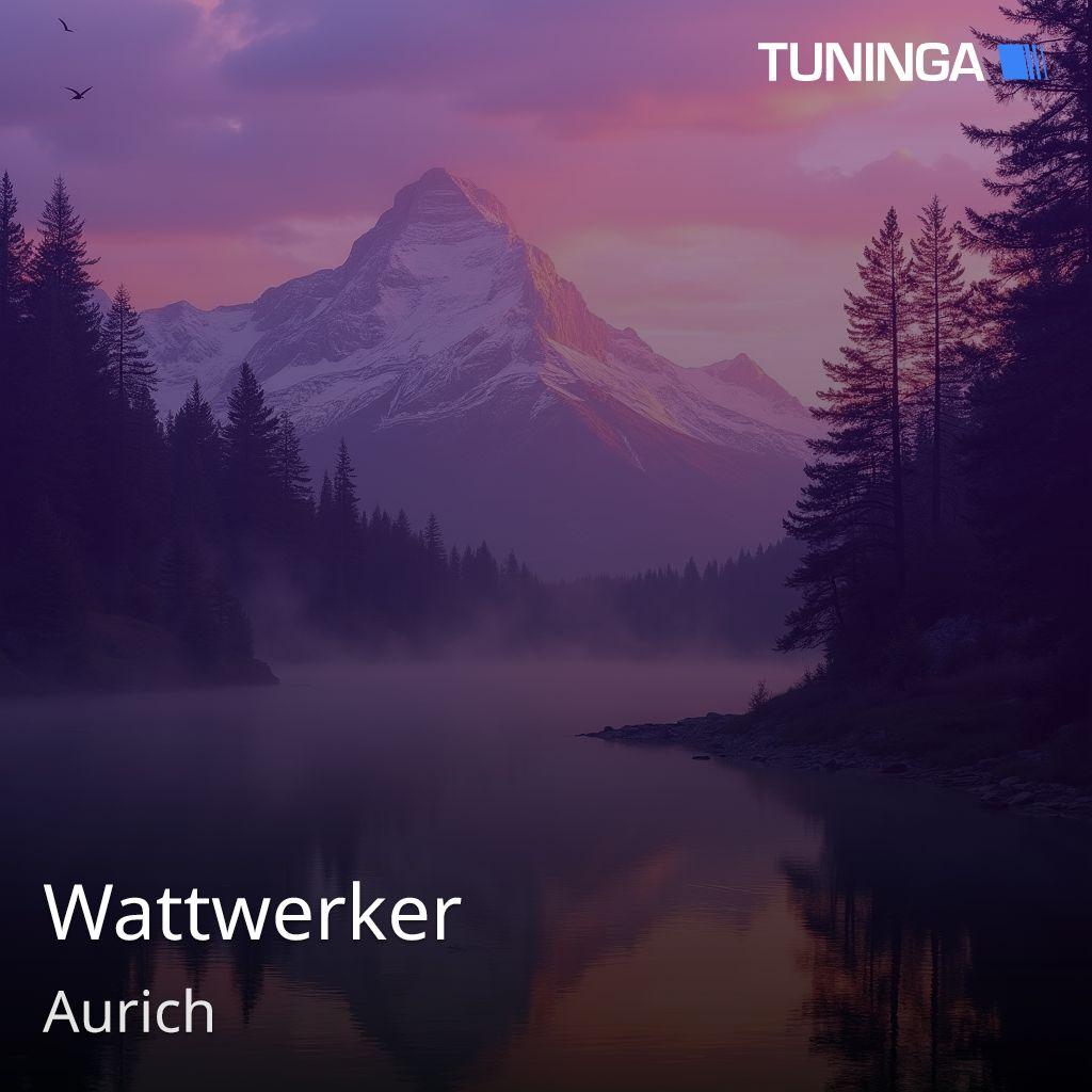 Wattwerker
