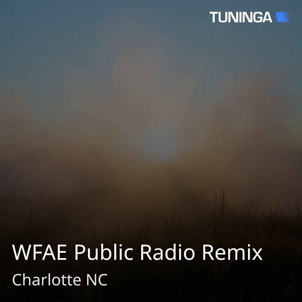 WFAE Public Radio Remix