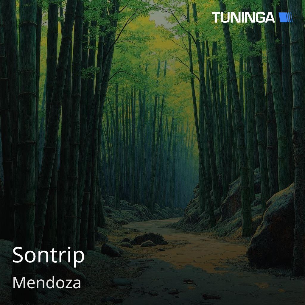 Sontrip