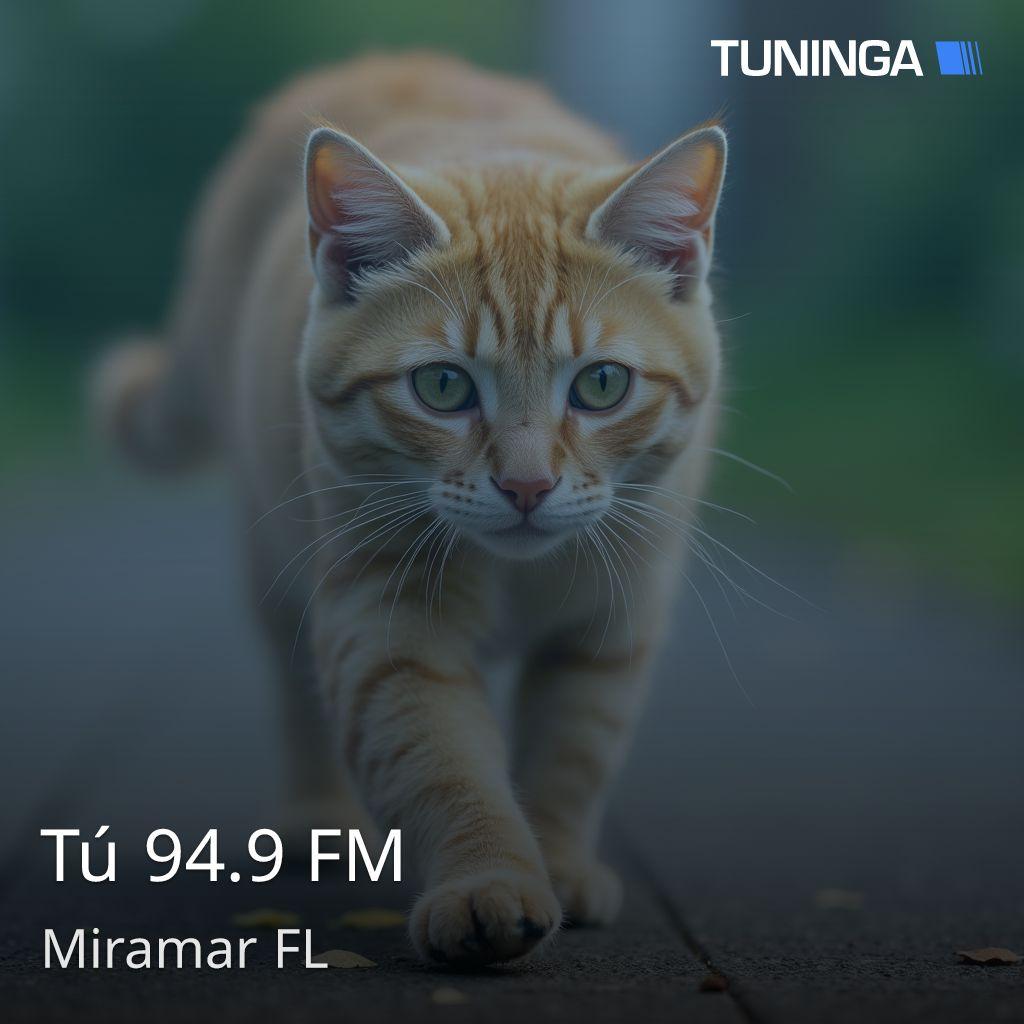 Tú 94.9 FM