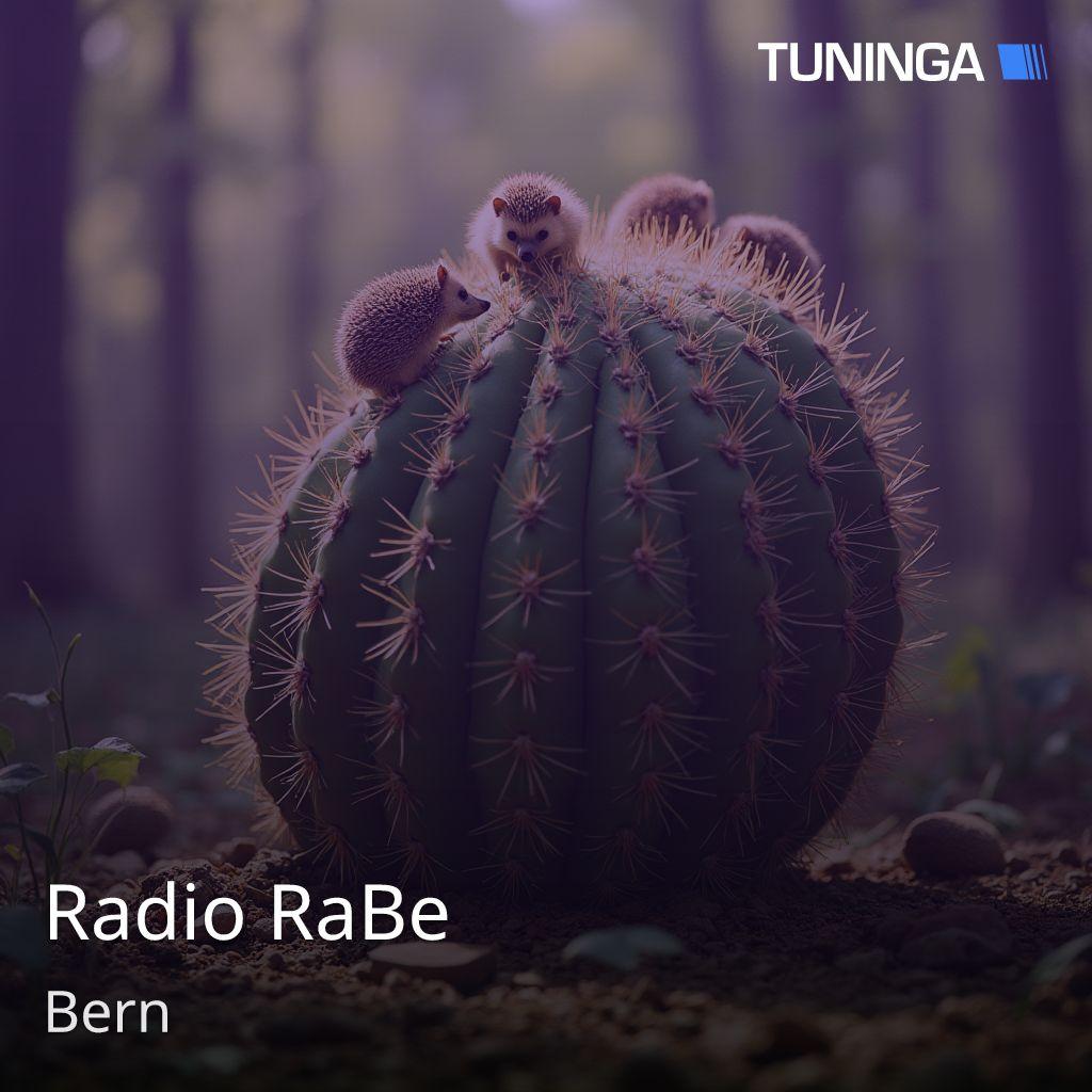 Radio RaBe