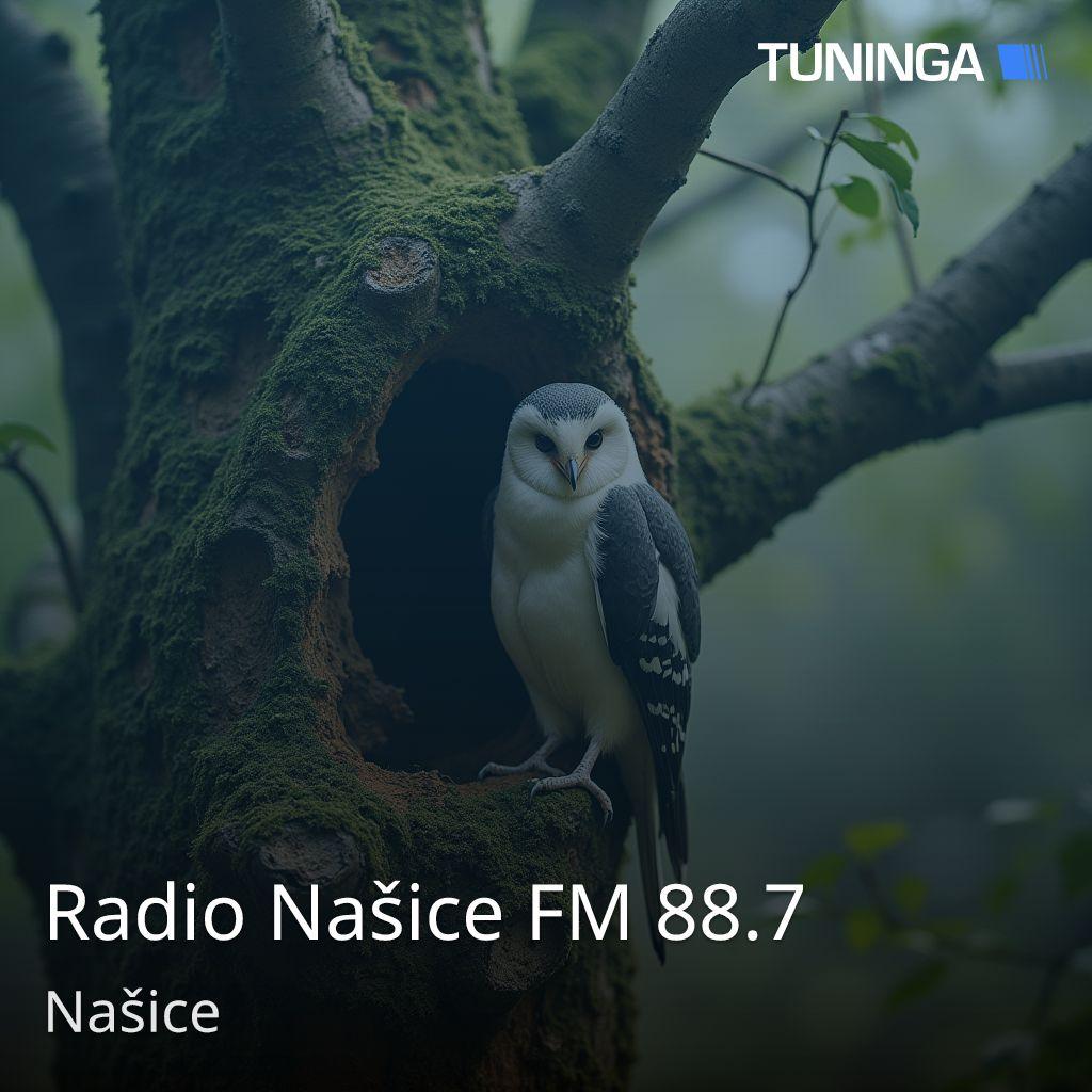 Radio Našice FM 88.7