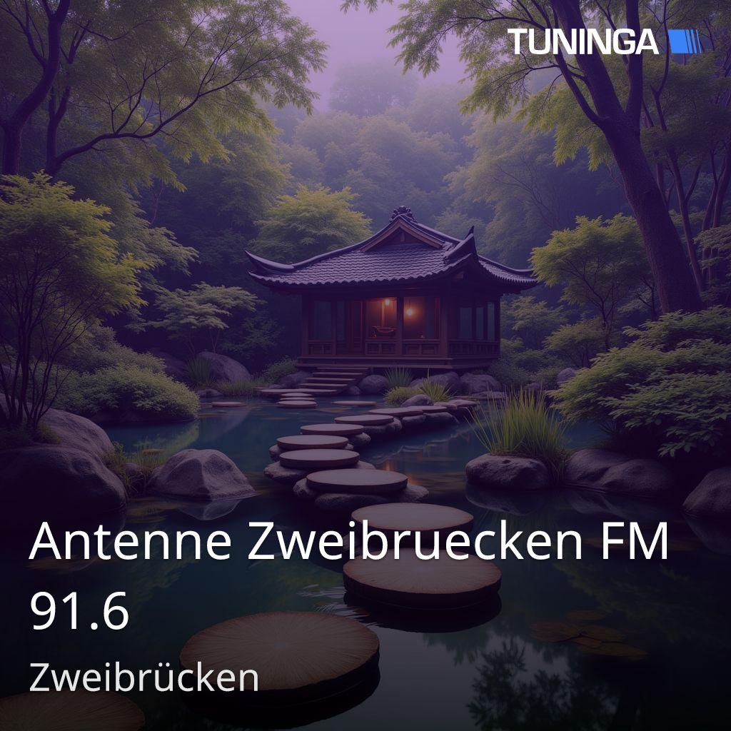 Antenne Zweibruecken FM 91.6