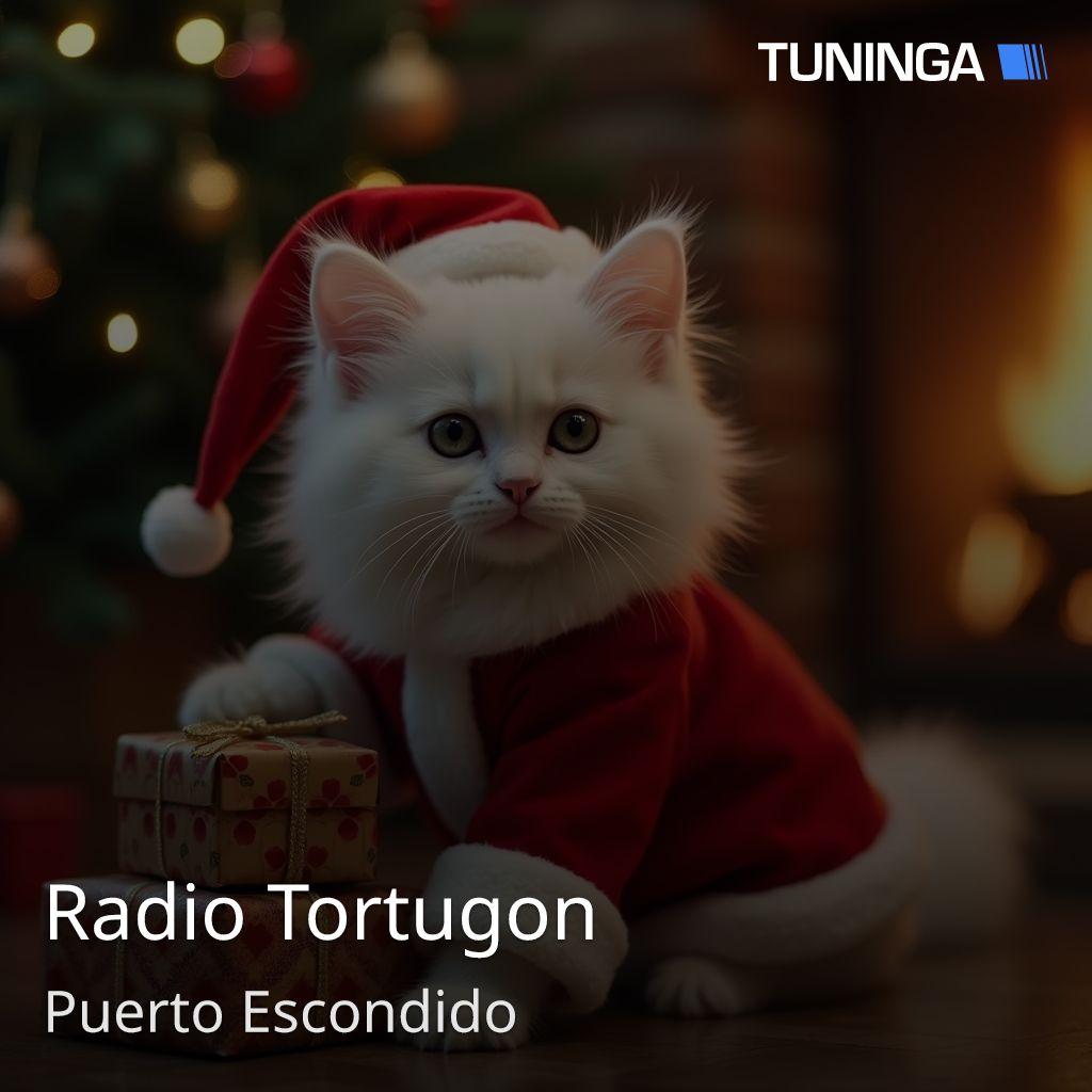 Radio Tortugon