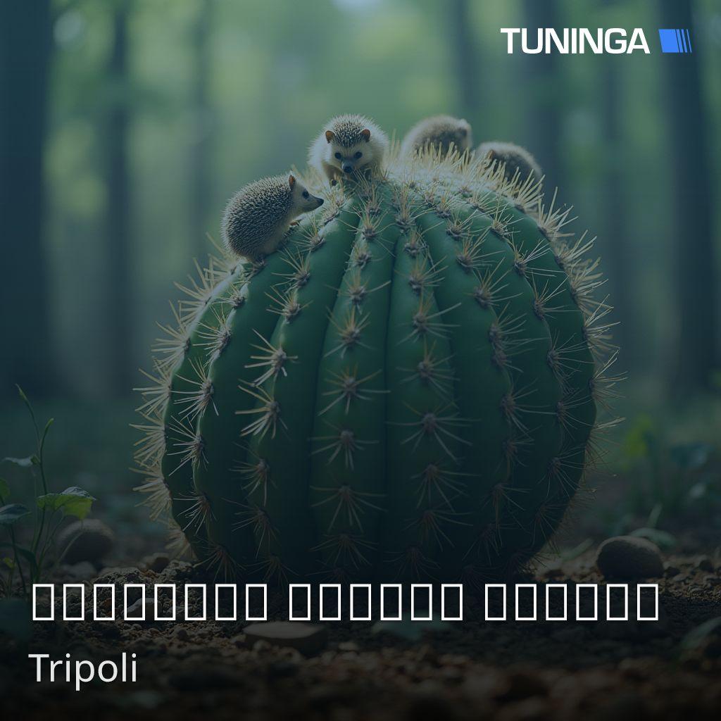 الارتقاء للحديث النبوي