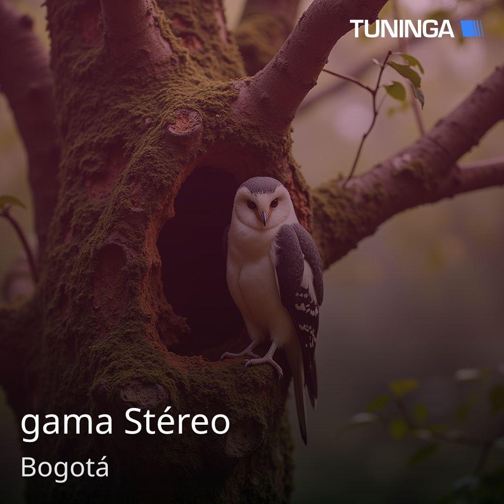 gama Stéreo