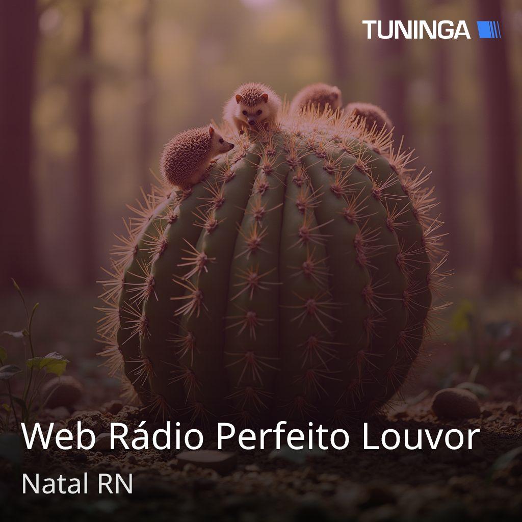 Web Rádio Perfeito Louvor