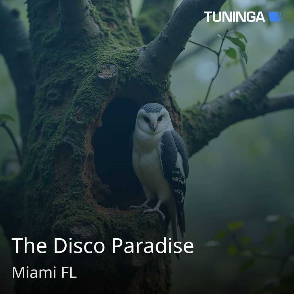 The Disco Paradise