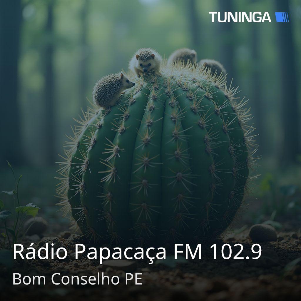 Rádio Papacaça FM 102.9