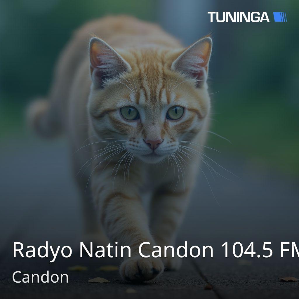 Radyo Natin Candon 104.5 FM
