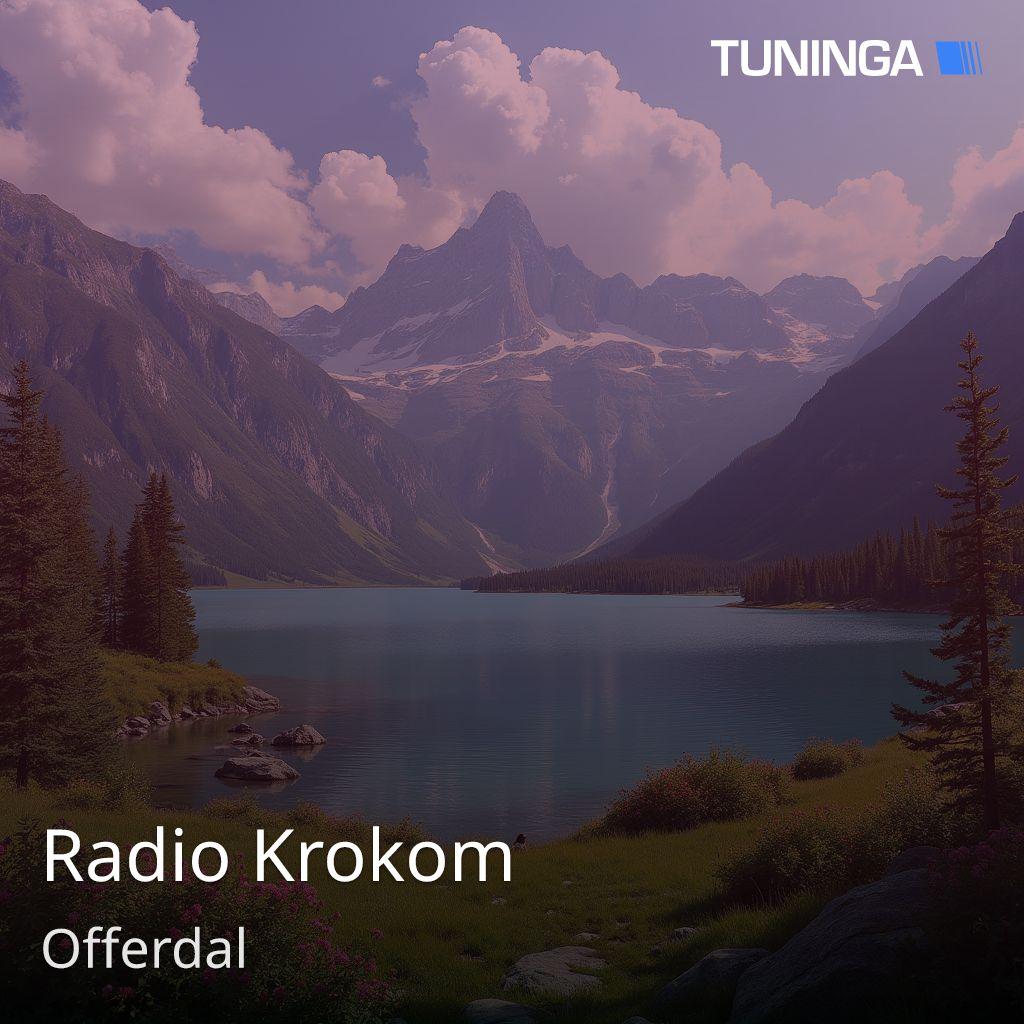 Radio Krokom