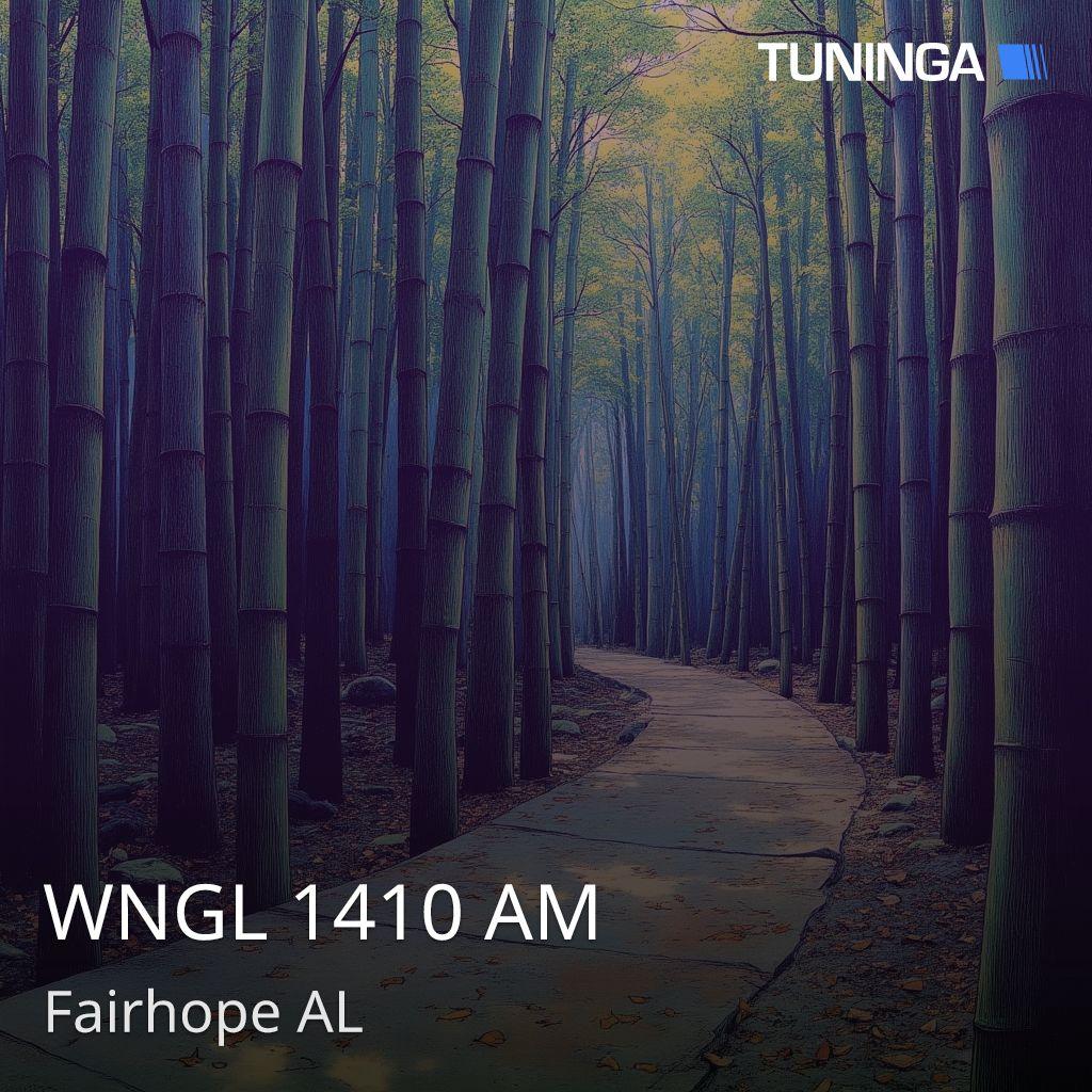 WNGL 1410 AM