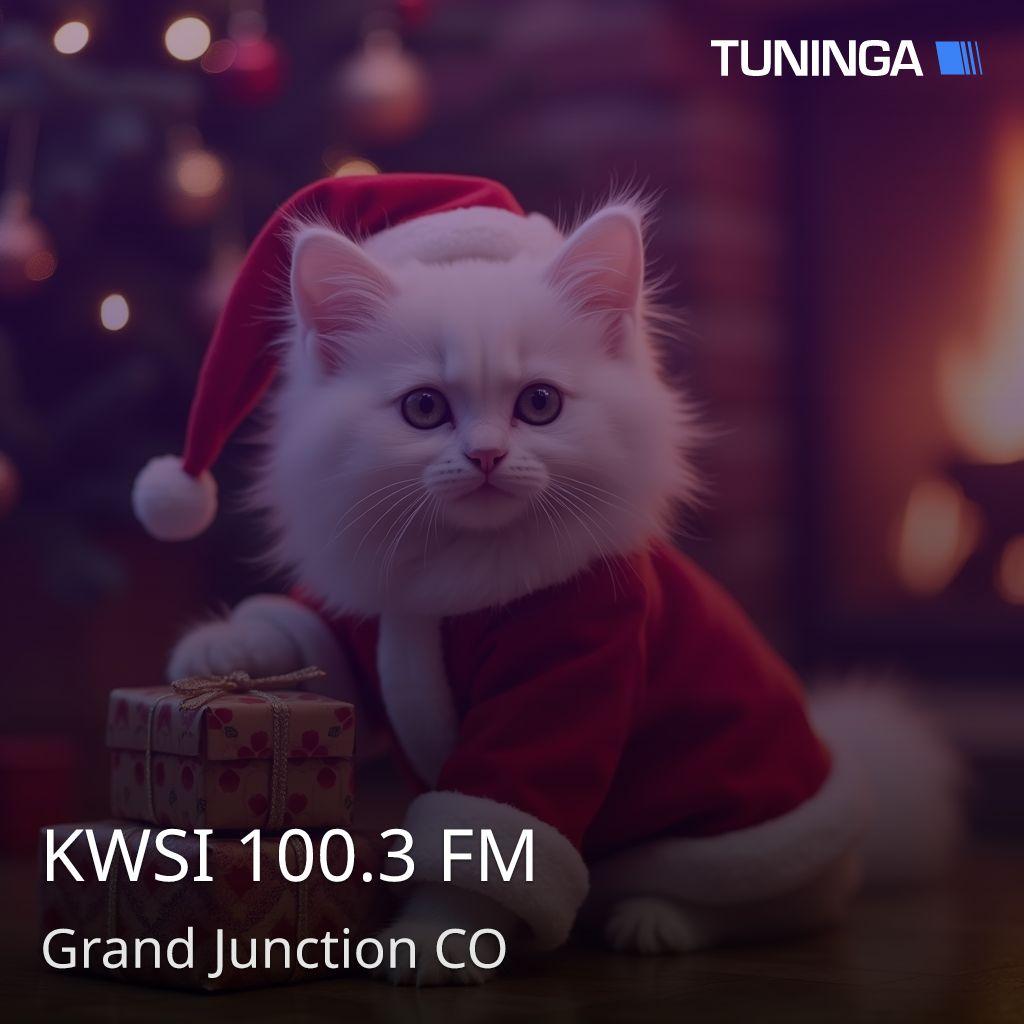 KWSI 100.3 FM