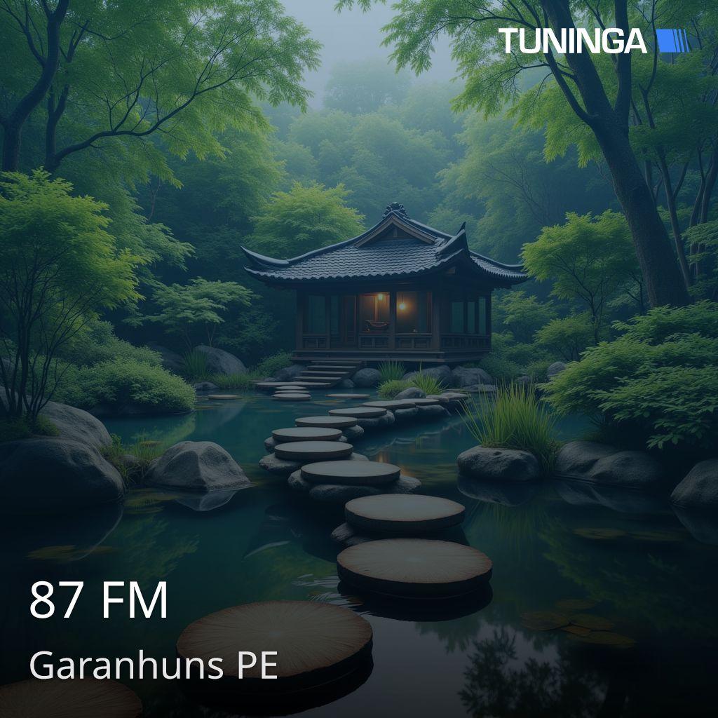 87 FM