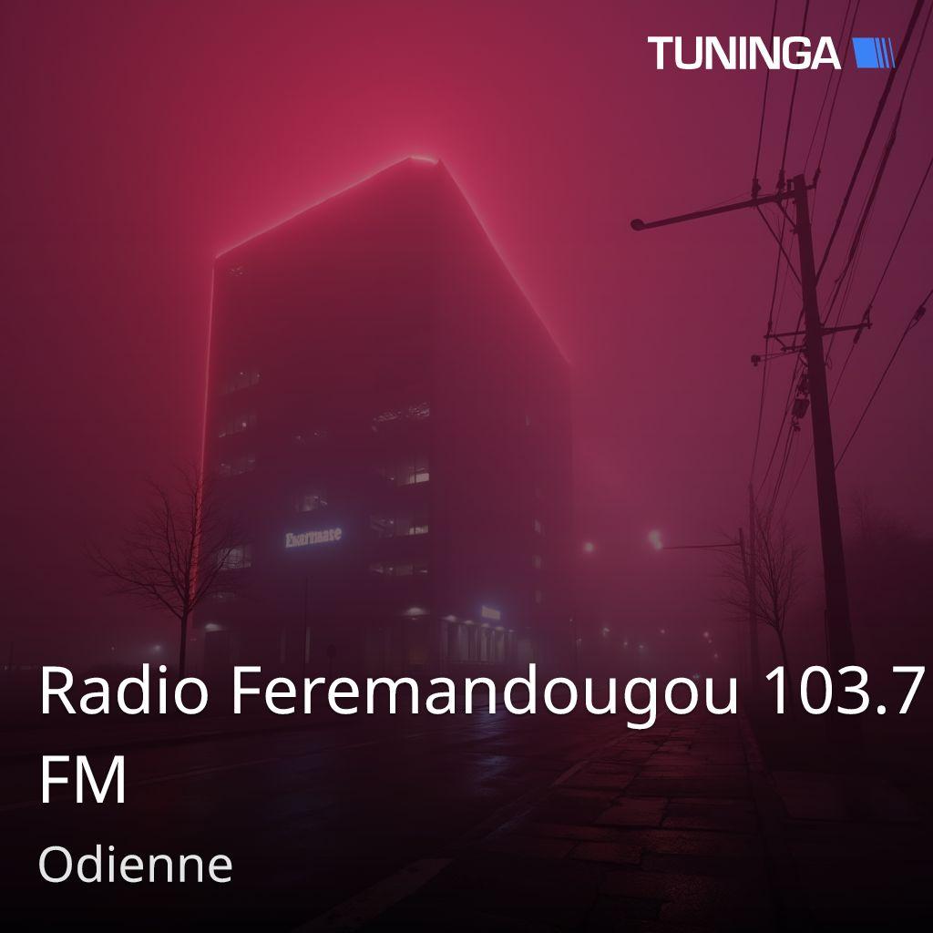 Radio Feremandougou 103.7 FM