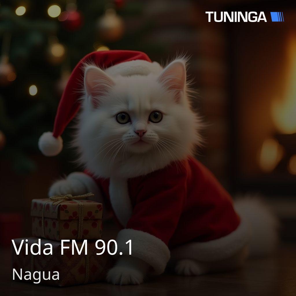 Vida FM 90.1