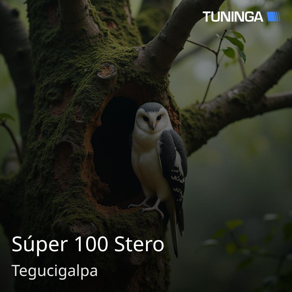 Súper 100 Stero