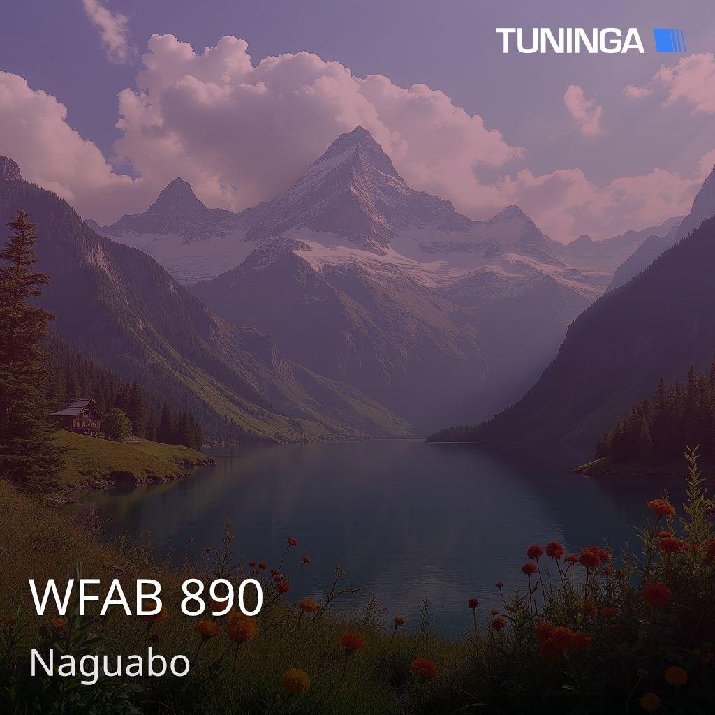 WFAB 890