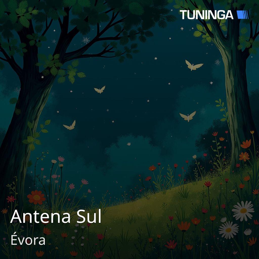 Antena Sul