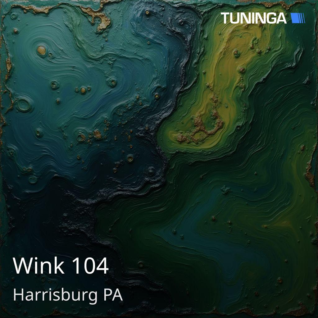 Wink 104