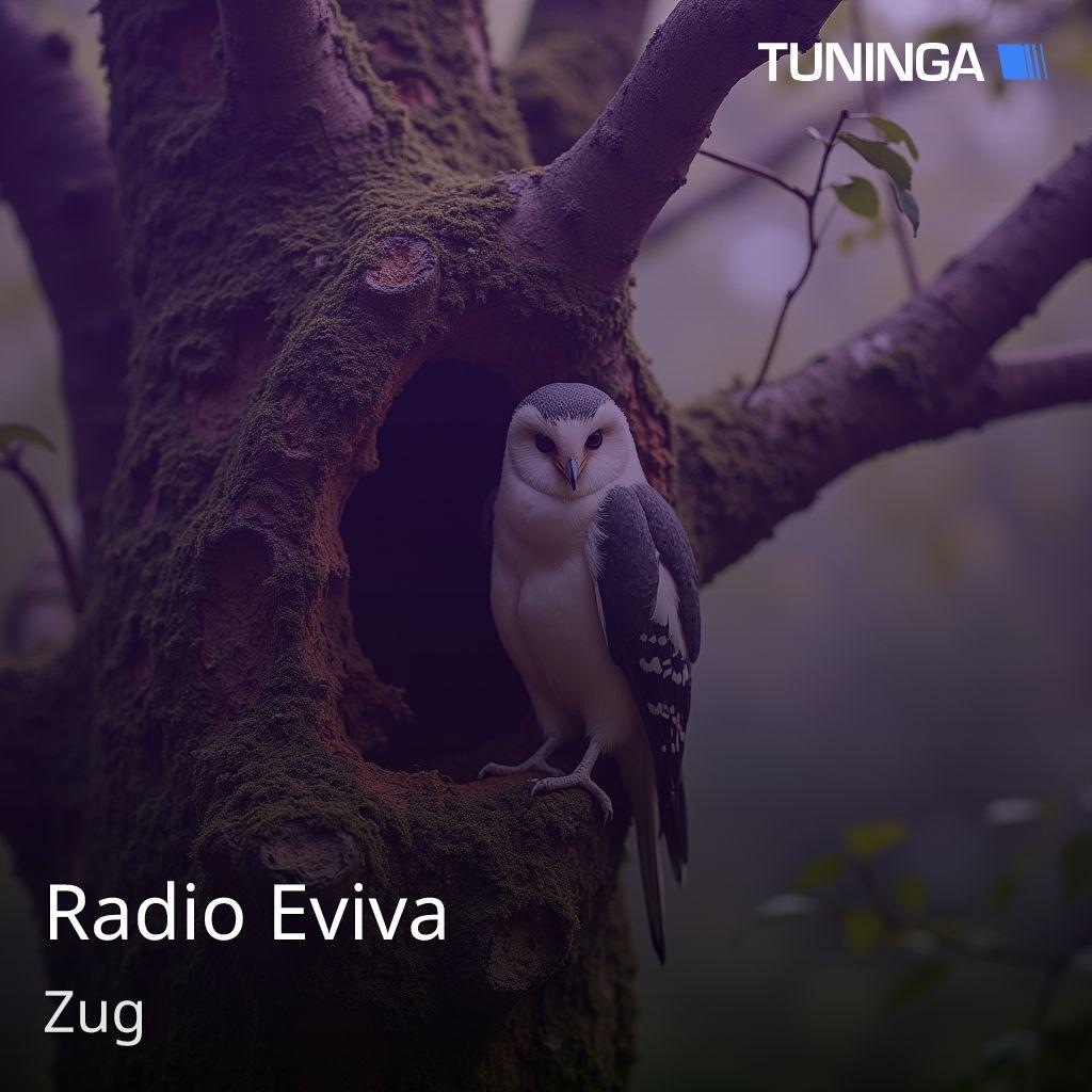 Radio Eviva