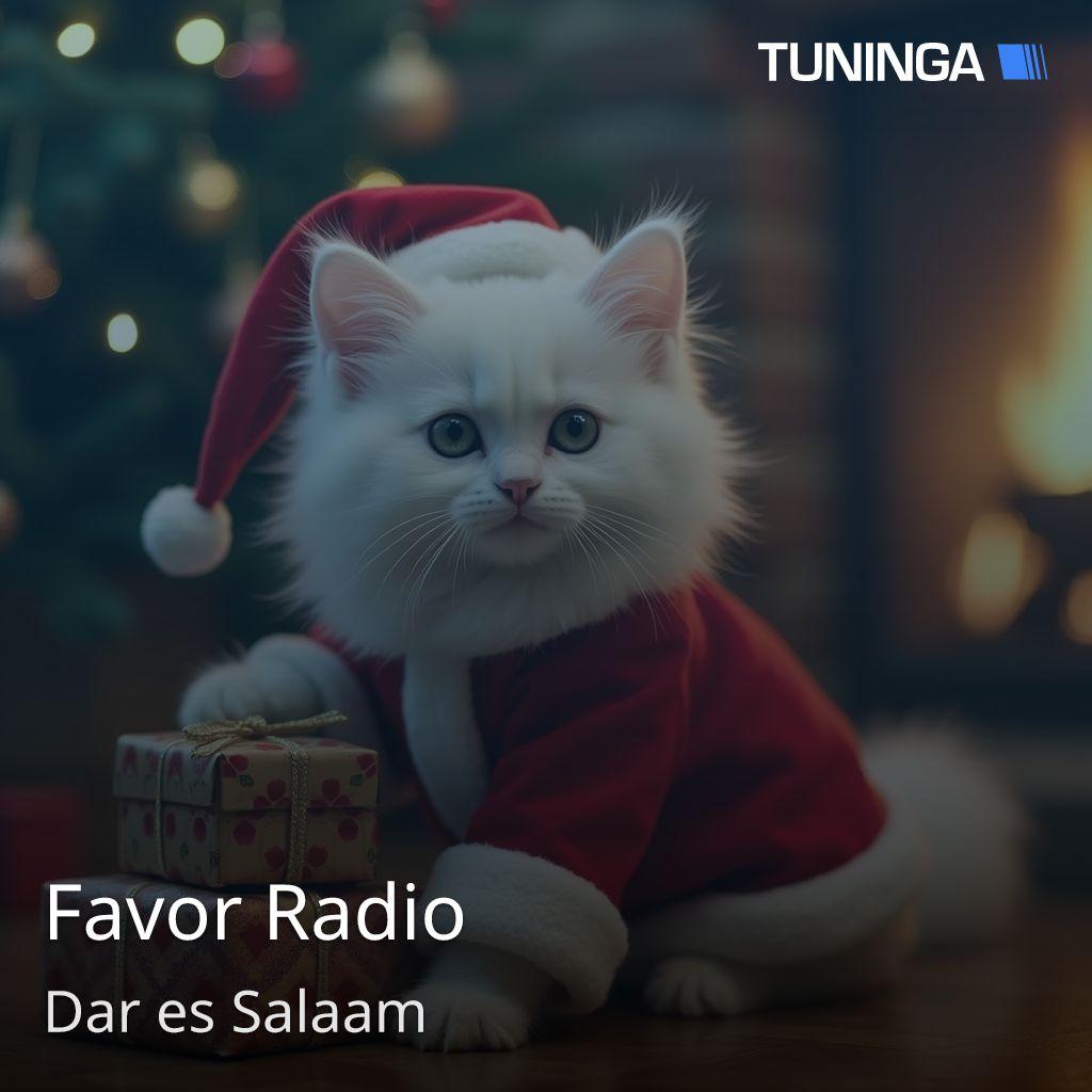 Favor Radio