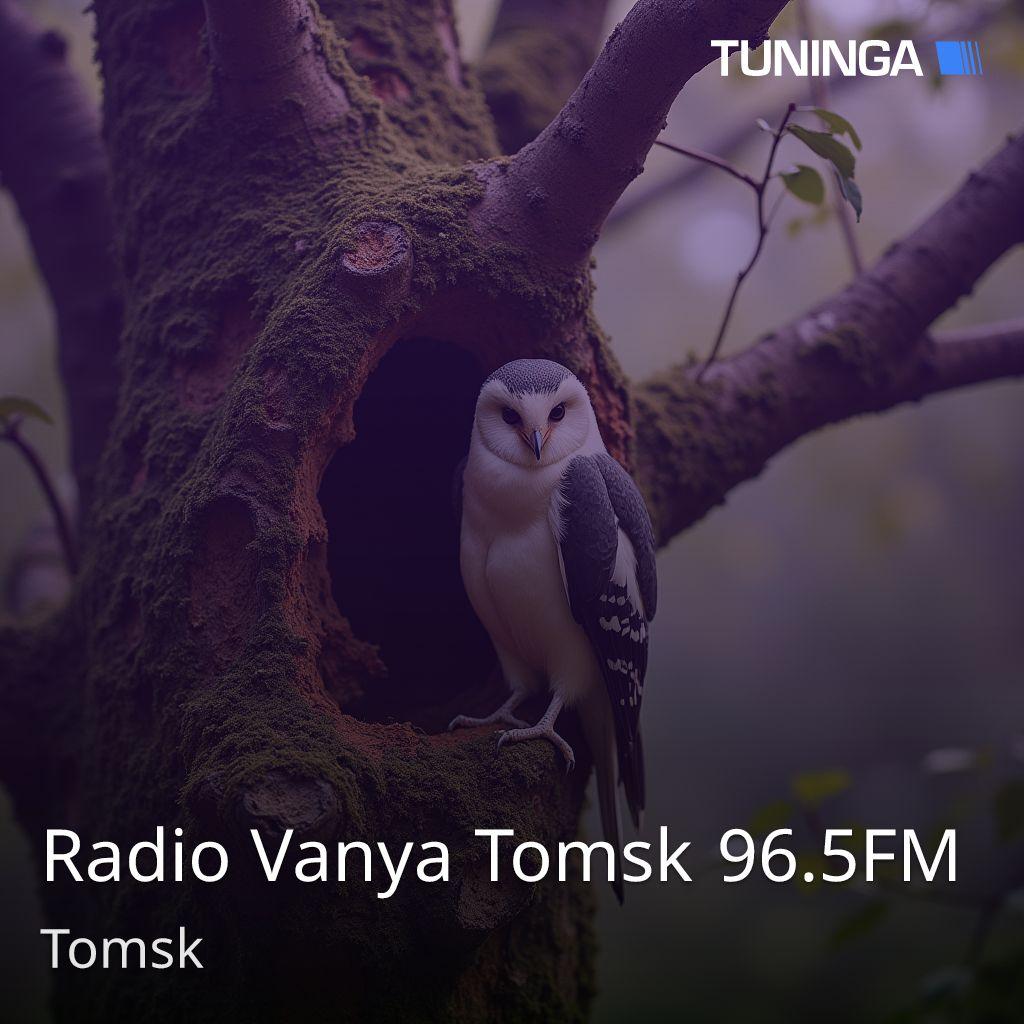 Radio Vanya Tomsk 96.5FM