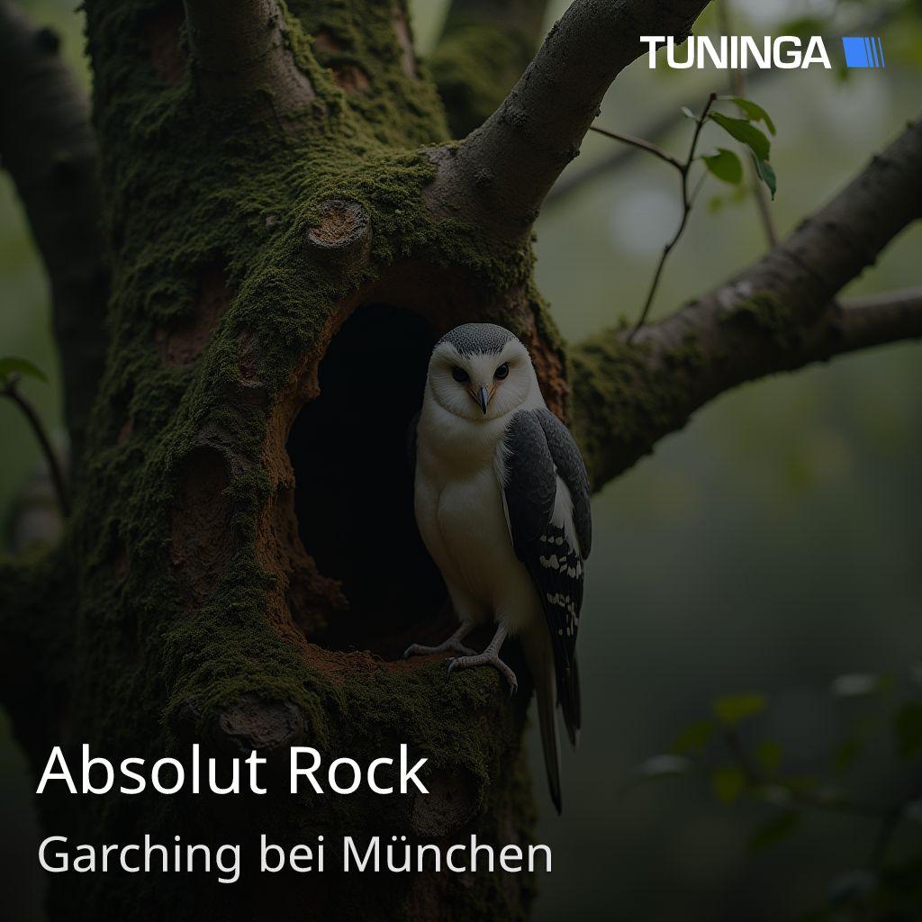 Absolut Rock