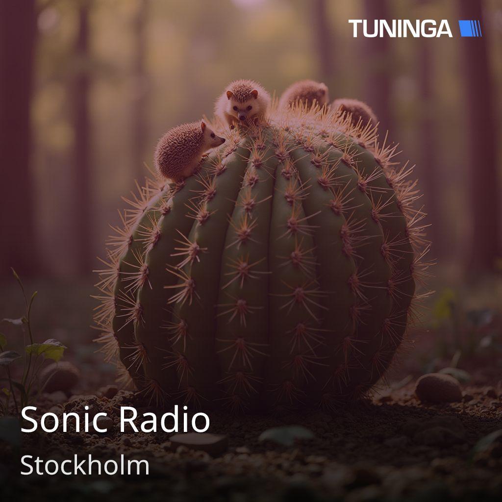 Sonic Radio