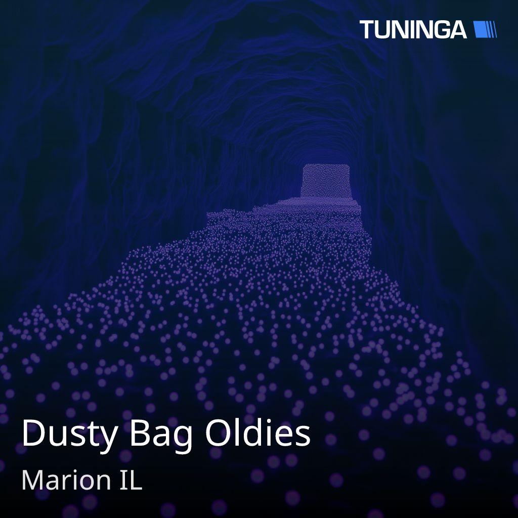Dusty Bag Oldies