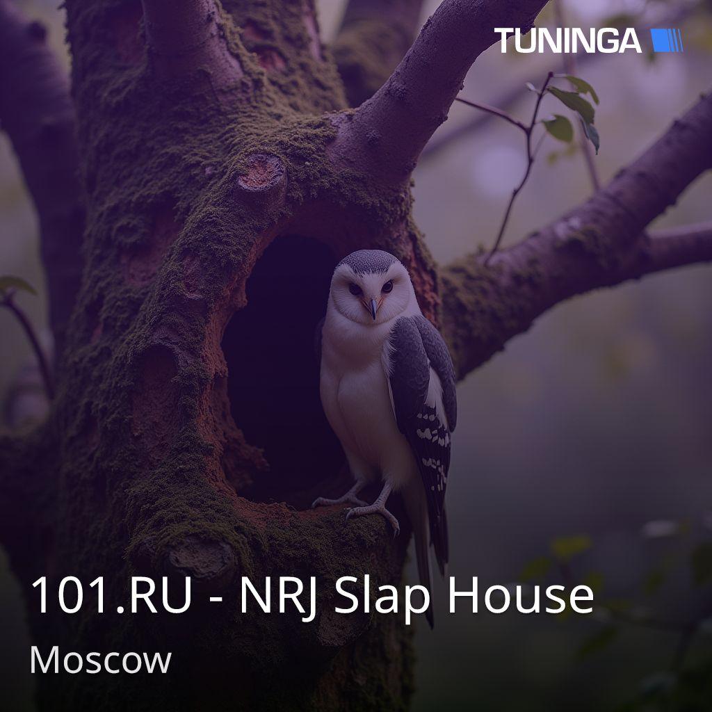 101.RU - NRJ Slap House